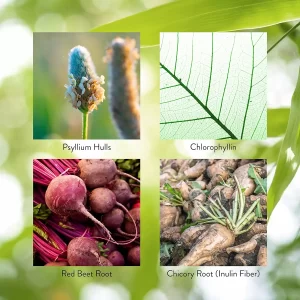 Ультрабиом Детокс НСП - UltraBiome DTX